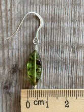 Load image into Gallery viewer, Fern Leaf Earrings